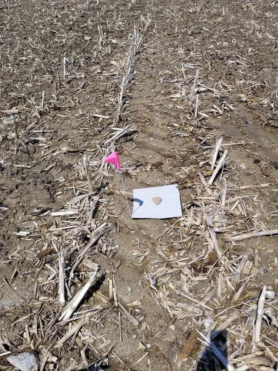 c_coombs's tweet image. Gorgeous day for checking on slug traps in Mercer! #PennStateExtension @PennStateCrops