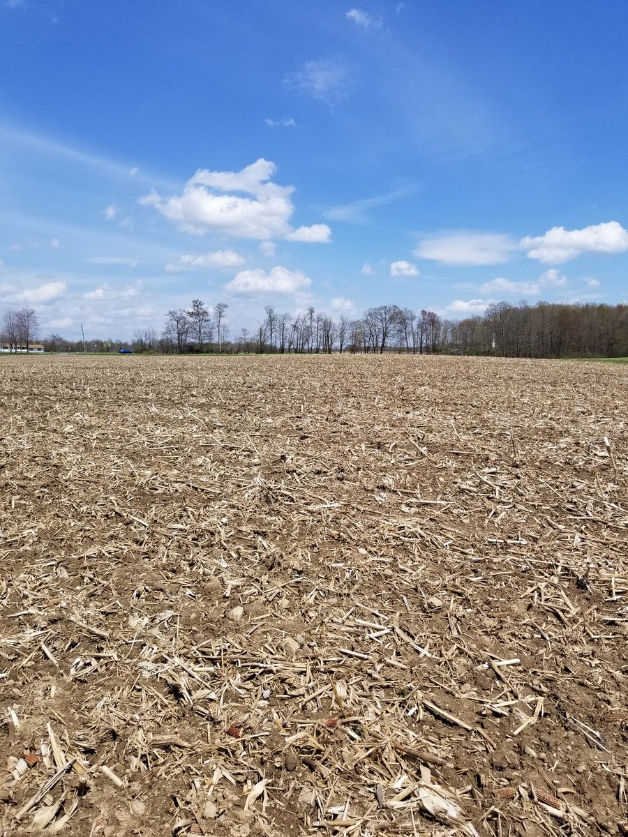 c_coombs's tweet image. Gorgeous day for checking on slug traps in Mercer! #PennStateExtension @PennStateCrops