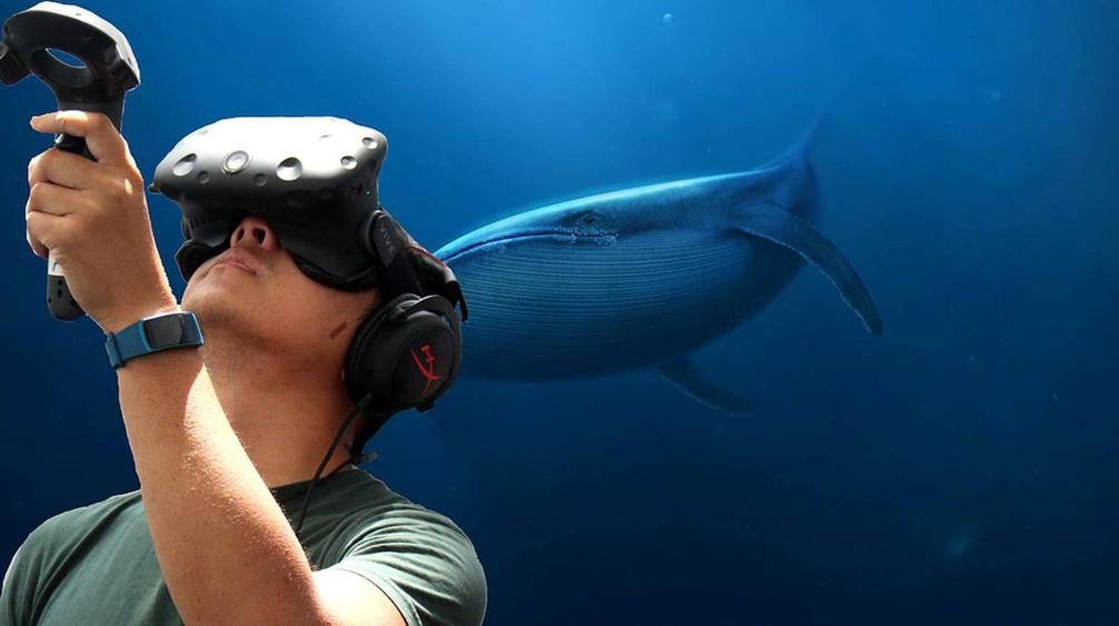 подводный мир для виртуальных очков. виртуальная реальность картинки. подводный мир для виртуальных очков. подводные миры vr. подводный мир для виртуальных очков.