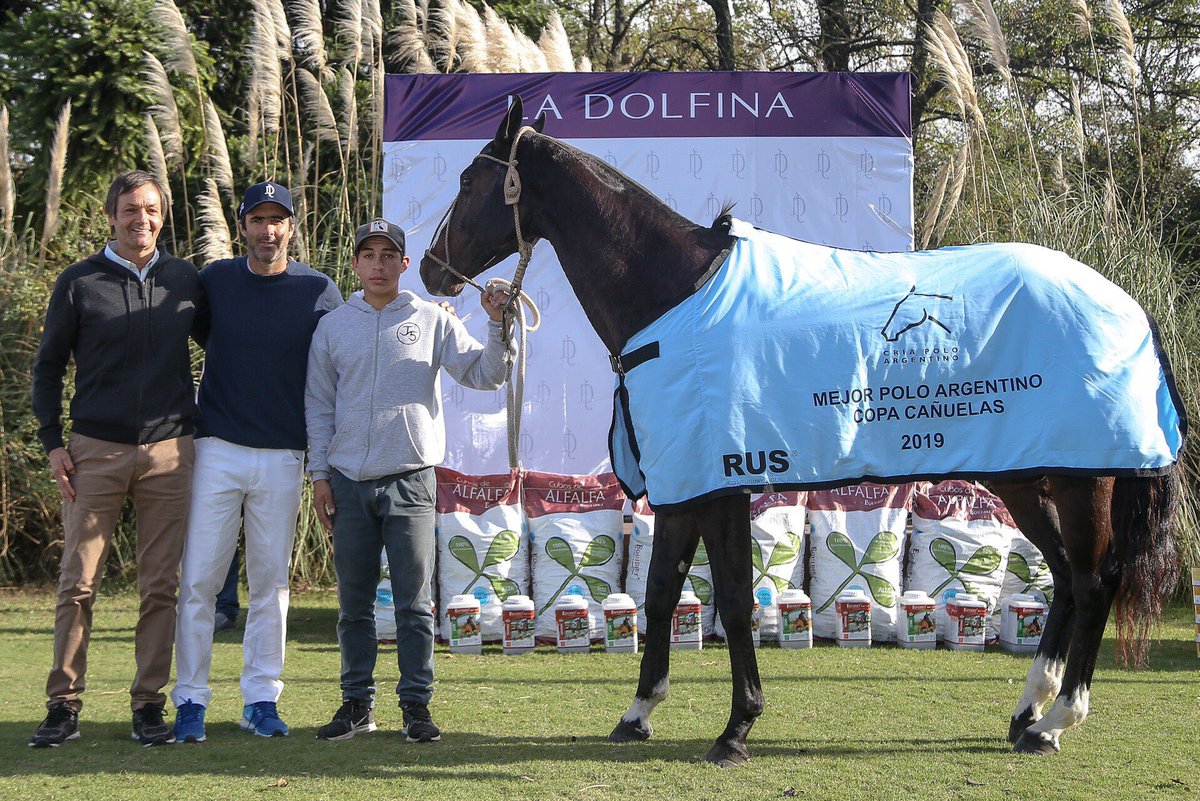 Copa Cañuelas 2019 MPA Oro Cañita Voladora 
Por: Dolfina Cuarteto y Chapaleufu Caradura
Propietario Federico Pasquini y El Indio Muerto SA Criador: El Indio Muerto SA 
Jugador Adolfo Cambiaso
Jurado Juan Martín Nero
Chukkker 6.
Foto: <a href="/MatCallejo/">Matias Callejo</a>