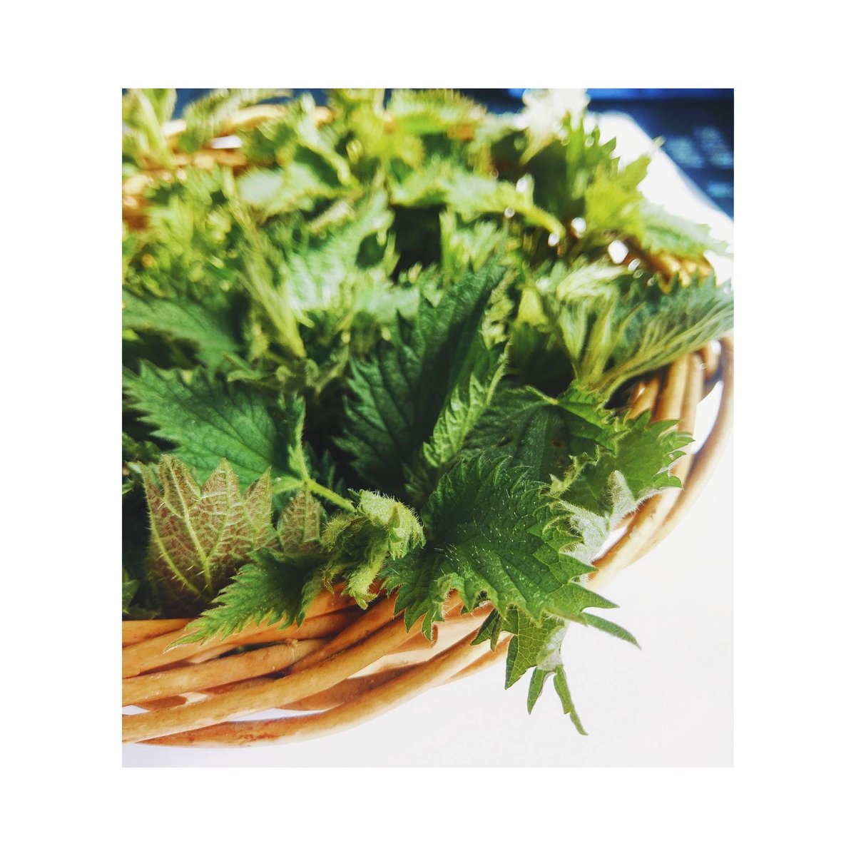 Baressential - Art of Soap tweet media