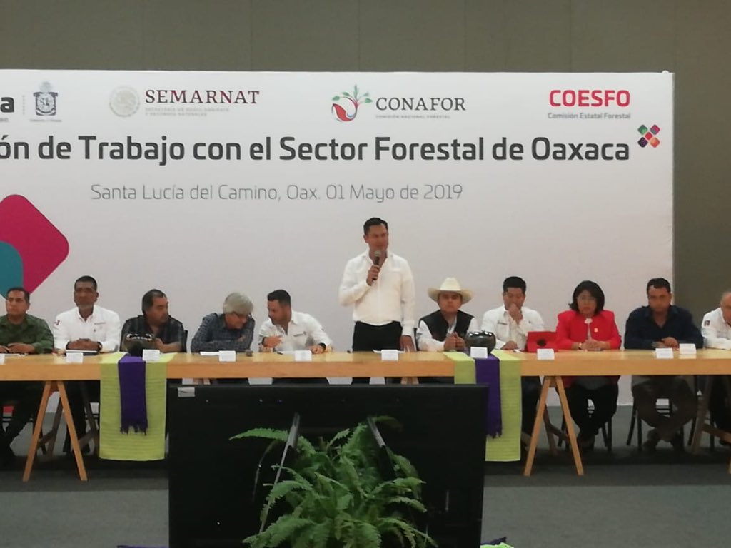 SEFADER_GobOax's tweet photo. El Srio. Carlos Grau asiste a reunión de trabajo con el sector forestal de #Oaxaca, encabezado por @alejandromurat y @Aaron_Juarez Dir. de #COESFO, se firmó un convenio entre @Conafor y @COESFO_GobOax para fortalecimiento en materia de sanidad e incendios forestales. 🤝🚒🌳 https://t.co/mGA5rg5ywG