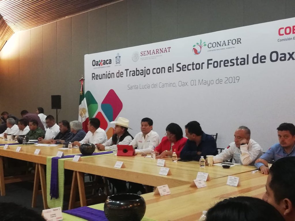 SEFADER_GobOax's tweet photo. El Srio. Carlos Grau asiste a reunión de trabajo con el sector forestal de #Oaxaca, encabezado por @alejandromurat y @Aaron_Juarez Dir. de #COESFO, se firmó un convenio entre @Conafor y @COESFO_GobOax para fortalecimiento en materia de sanidad e incendios forestales. 🤝🚒🌳 https://t.co/mGA5rg5ywG