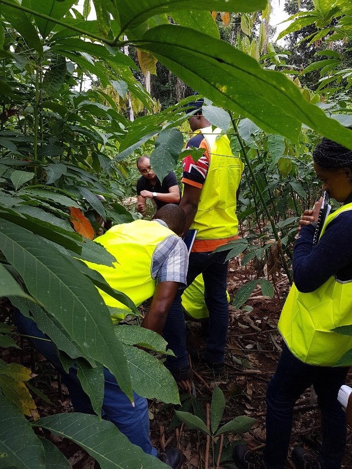 jmn_consultant's tweet image. BONNE FÊTE DU TRAVAIL, aux amoureux de l'environnement, aux industriels prônant des activités sans nuisances, aux agriculteurs réclamant du "Bio"; aux travailleurs intellectuels.
Tous Ensemble pour un développement vraiment durable...#JMN_Consultant #Cameroun #Environnement