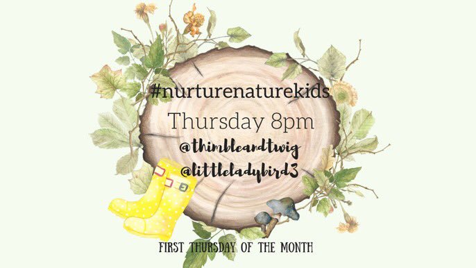 The ladybirds' adventures🐞🐞 tweet media