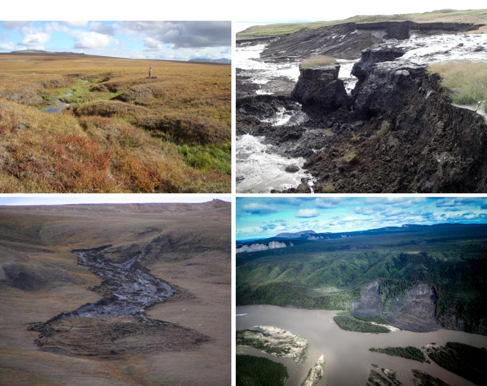 In hills & mountains, abrupt thaw means landslides & erosion. L top- gully in N Alaska ( @thermokarst); L bottom- detachment slide on Ellesmere Isle  (T. Lewkowicz). R top- thaw slump on Herschel Isle  (G. Hugelius); R bottom- thaw slump near Mackenzie River NWT ( @CarolynG_22)