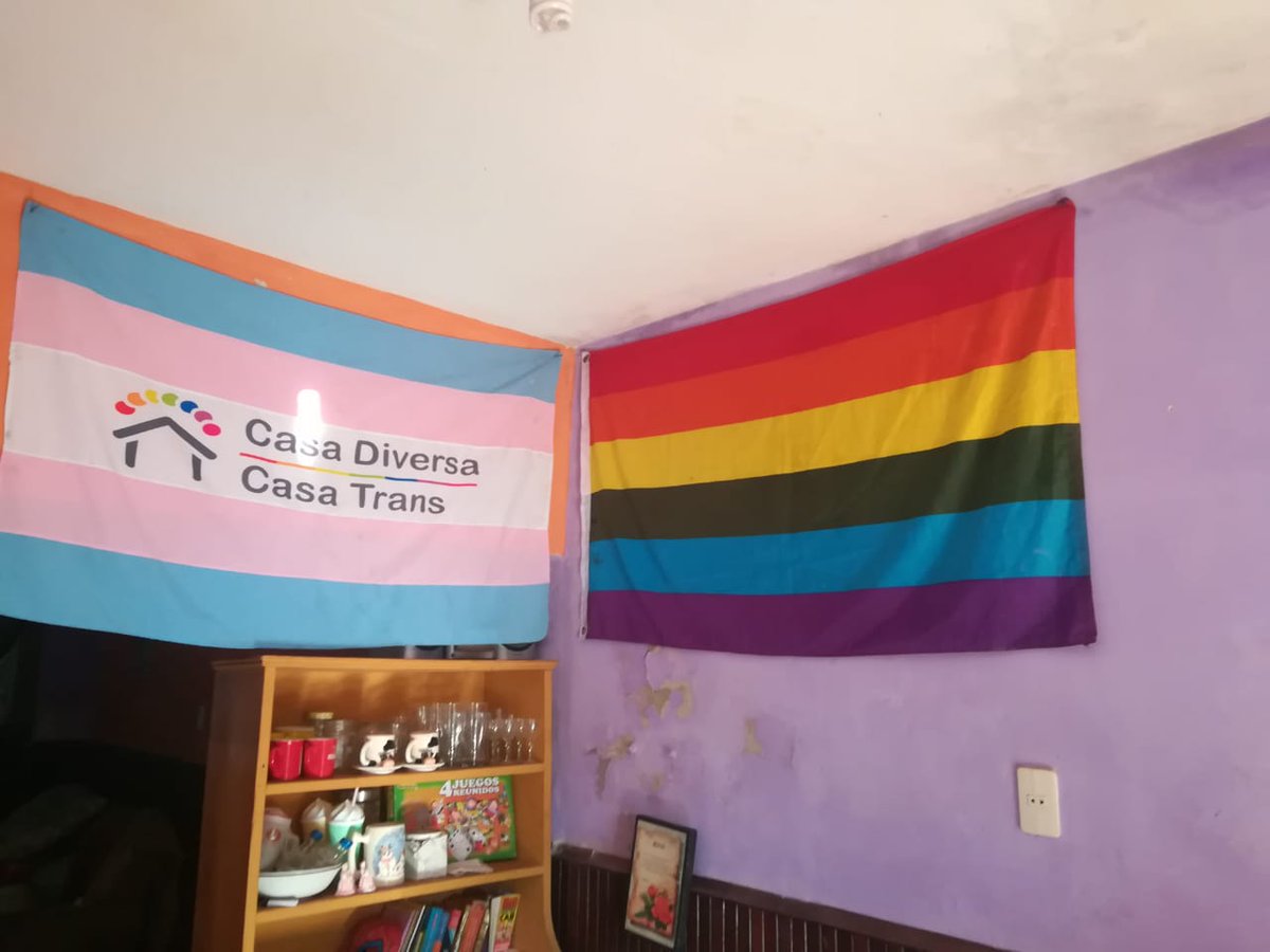 Casa Diversa (@diversacasa) on Twitter photo 