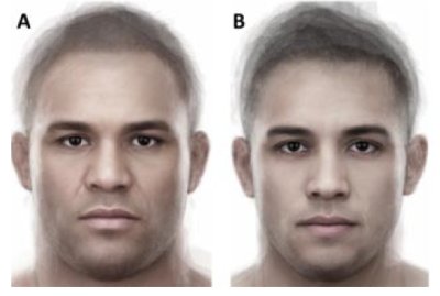 A composite of the most (A) and least (B) experienced UFC fighters"Having a wider face was correlated with success in the UFC, in terms of surviving in the competition for longer and clocking up more wins."Controlled for weight and race. Cite:  https://digest.bps.org.uk/2014/06/20/a-mans-fighting-ability-is-written-in-his-face/