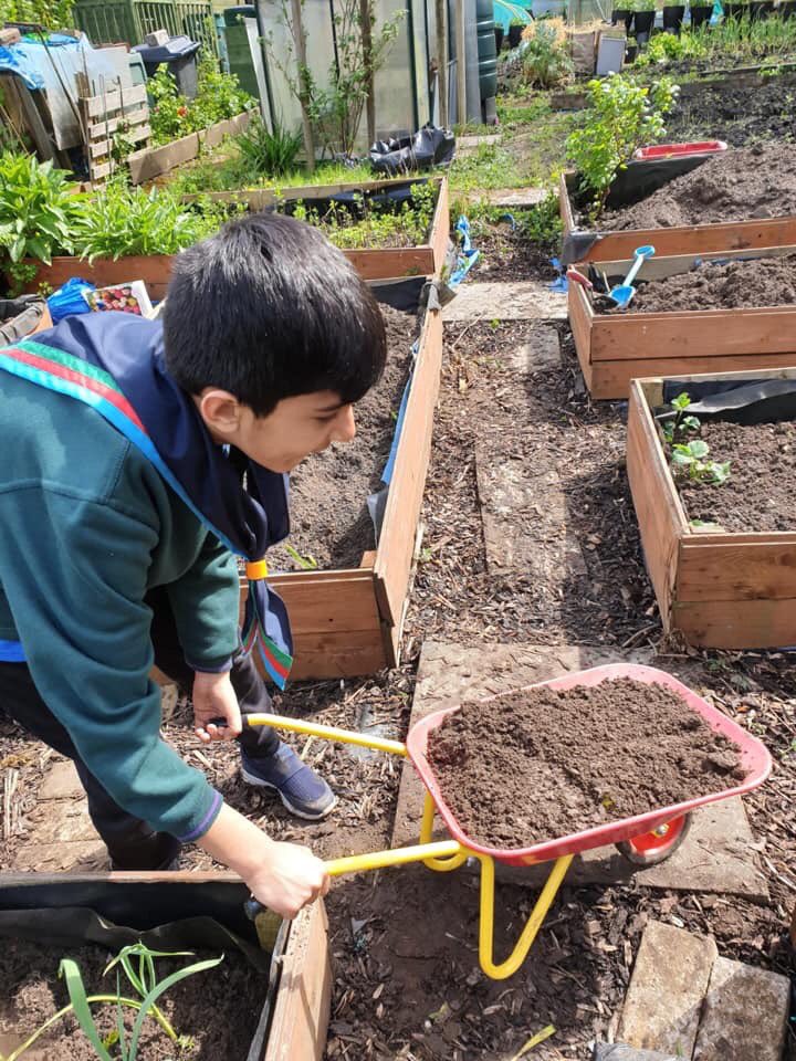 UK Muslim Scout tweet media