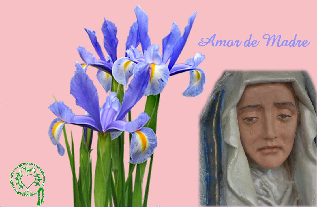 🌸 Feliz día de la Madre!! 🌸

#DiaDeLaMadre 
#MesDeMaría