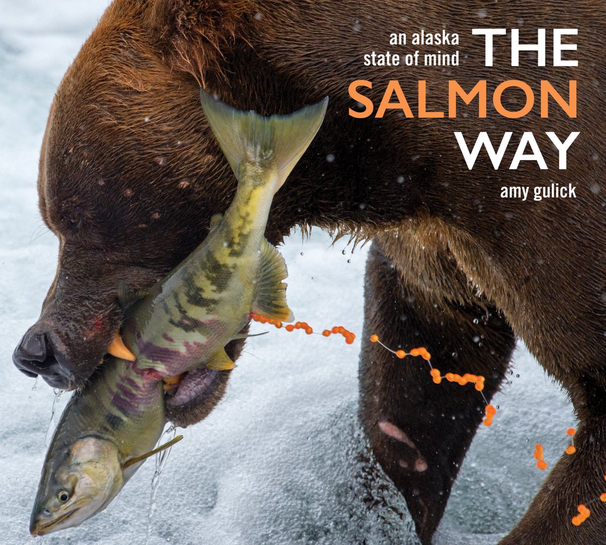 MtneersBooks's tweet photo. "The Salmon Way: An Alaska State of Mind" from award-winning writer and photographer @amygulick and conservation imprint @Braided_River is officially available today in bookstores everywhere. #wildsalmon #thesalmonway #standforsalmon #bristolbay #alaskasalmon 7m https://t.co/gyyhK9YLMj