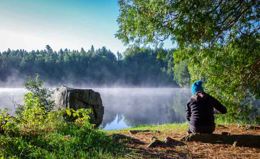 hikebiketravel's tweet photo. Chomping at the bit to get out #canoeing? Starting around mid-May before the blackflies show up head to #Algonguin Prov Park; you'll almost have it to yourself https://t.co/Ui1WzwqDnZ #DiscoverON https://t.co/oagA0UWWcF