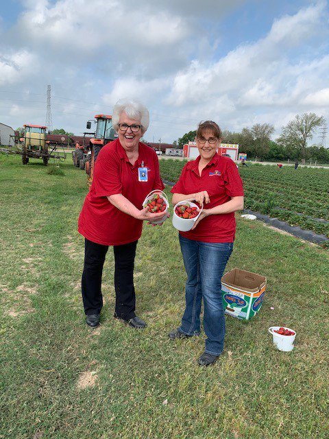 AlvinISD_CN's tweet image. Alvin ISD Child Nutrition managers learning hands on about fresh fruits and nutrition straight from the fields at Froberg Farms. @AlvinISD #Homegrown