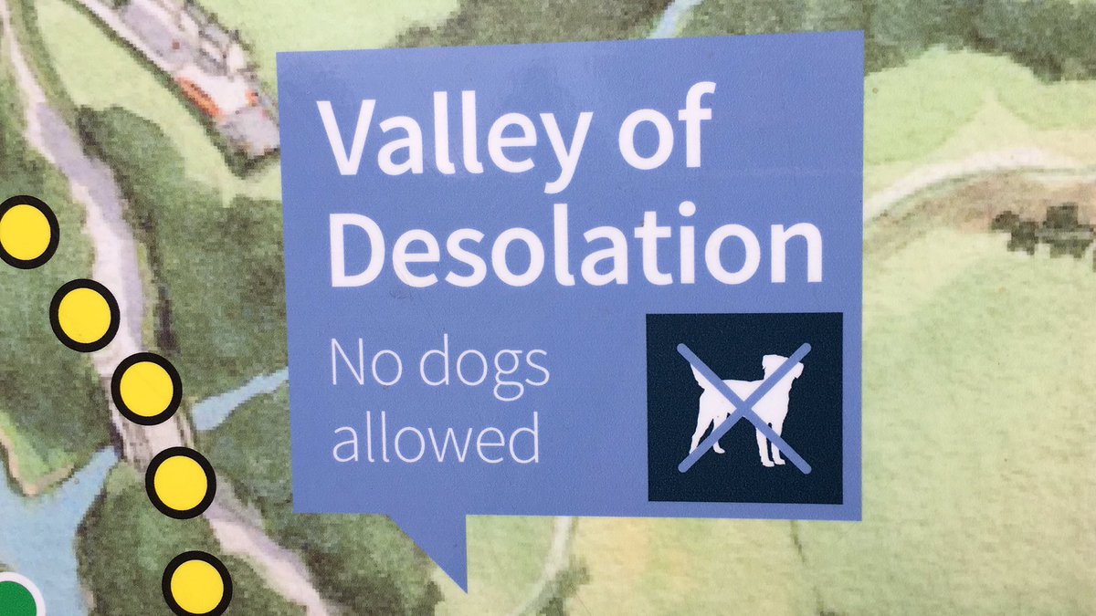 Dog walking Curtailed