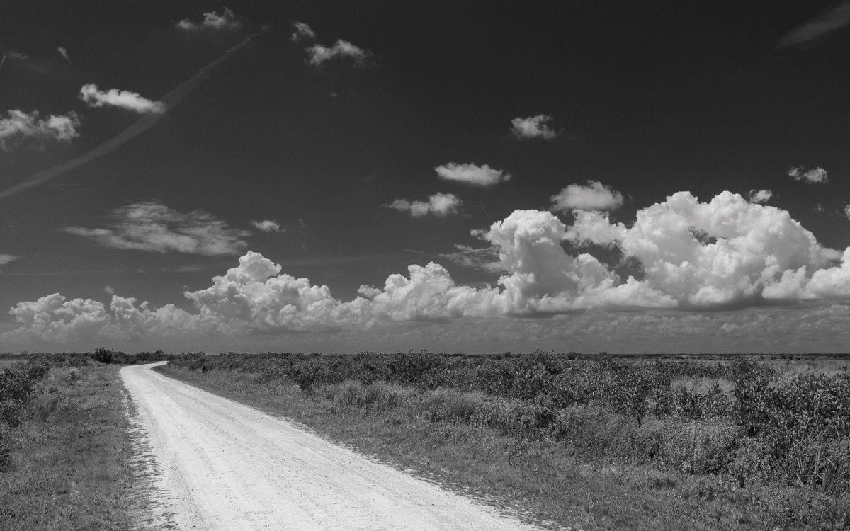 Merritt Island National Wildlife Refuge 3 © 2019 

#MerrittIsland #CanaveralNationalSeashore #IndianRiver #Florida #visitFlorida #visitFL #lovefl #floridalife #pureflorida #sunshinestate #florida_greatshots #roamflorida #floridawild #outdoors #optoutside #blackandwhite