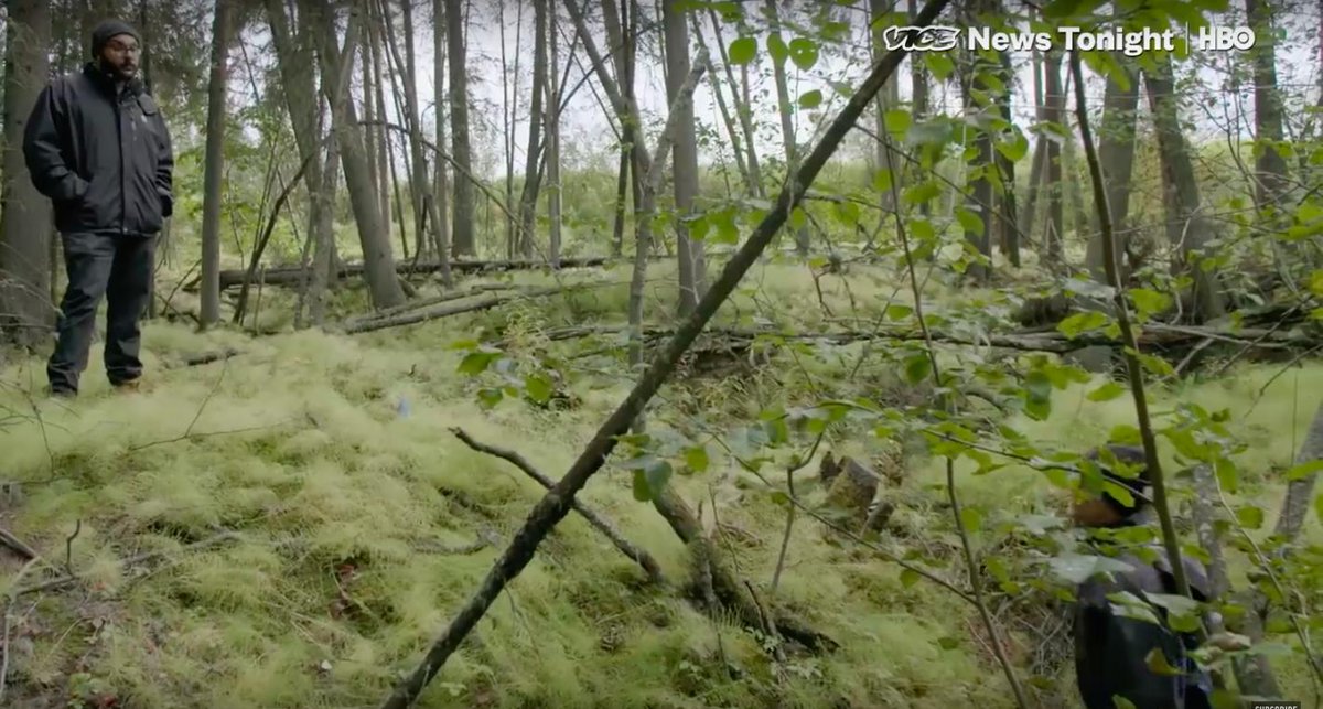 Look at what I just found  @NASA_ABoVE  @NASA! This shows some nice shots of drunken forests, subsidence with abrupt thaw, and an overview of what NASA's newest northern campaign is hoping to achieve.