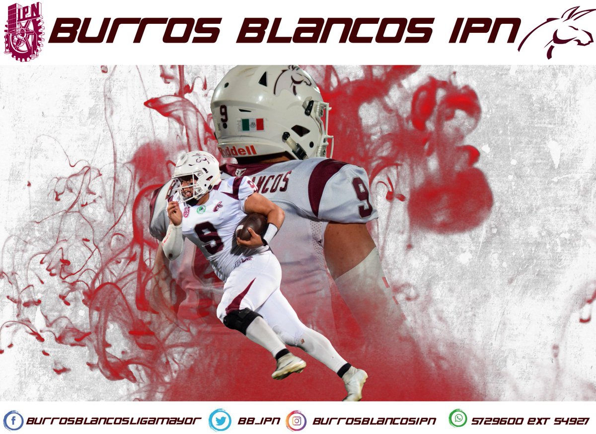 BurrosBlancos's tweet photo. Burros Blancos IPN te invita a formar parte de esta gran instituciรณn, nacidos en 1999-2000, te esperamos este lunes 6 de mayo en punto de la 1:30 pm, en el casillero de burros Blancos.
Pre-registro:
https://t.co/fyD3JAvfWb https://t.co/AZwfGzMcNE