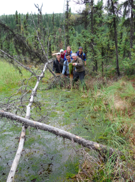 Collapse scar wetlands are warm, wet produce a lot of methane. Methane is a stronger greenhouse gas than CO2, so we need to understand how permafrost C is released as CO2 vs methane. However, these wetlands become home to mosses that grow quickly & take carbon up from the air.