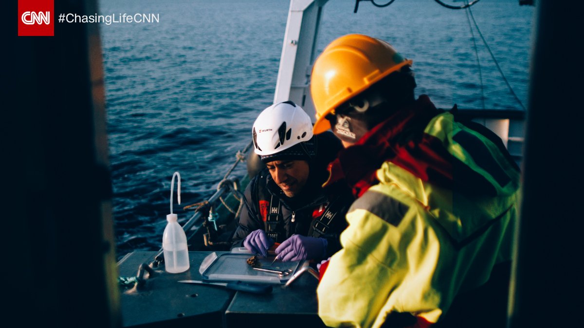 270 miles north of the Arctic circle, I traveled out to the deep blue sea to scour the bottom of the ocean in search of new and natural antibiotics. It’s what the world needs as we deal with increasingly resistant bacteria. #ChasingLifeCNN in Norway, Saturday at 9p ET/PT on <a href="/CNN/">CNN</a>