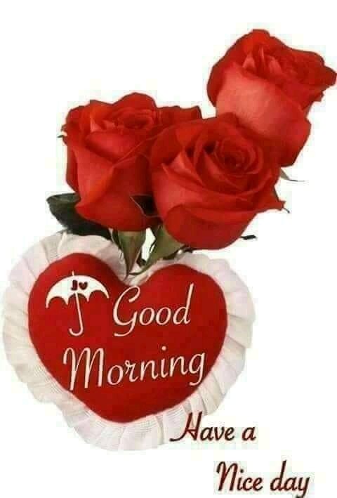Happy Thursday,,,
