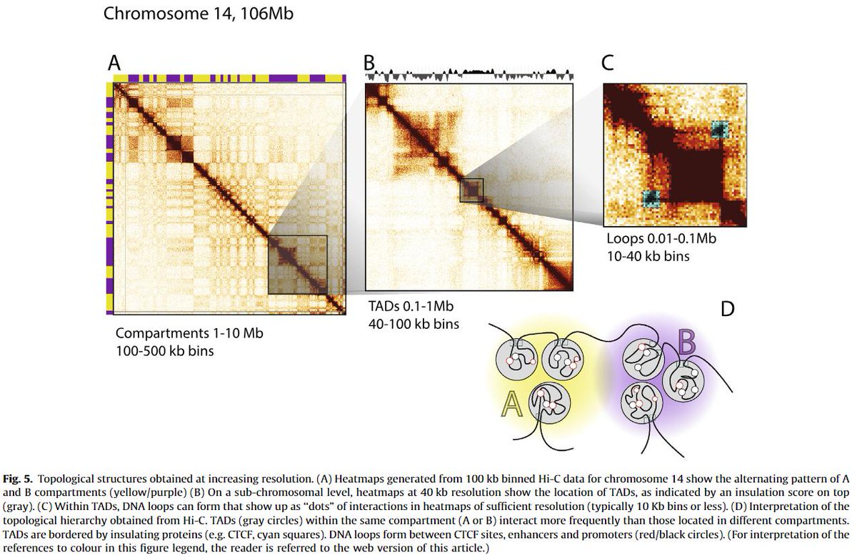 free helium ion microscopy