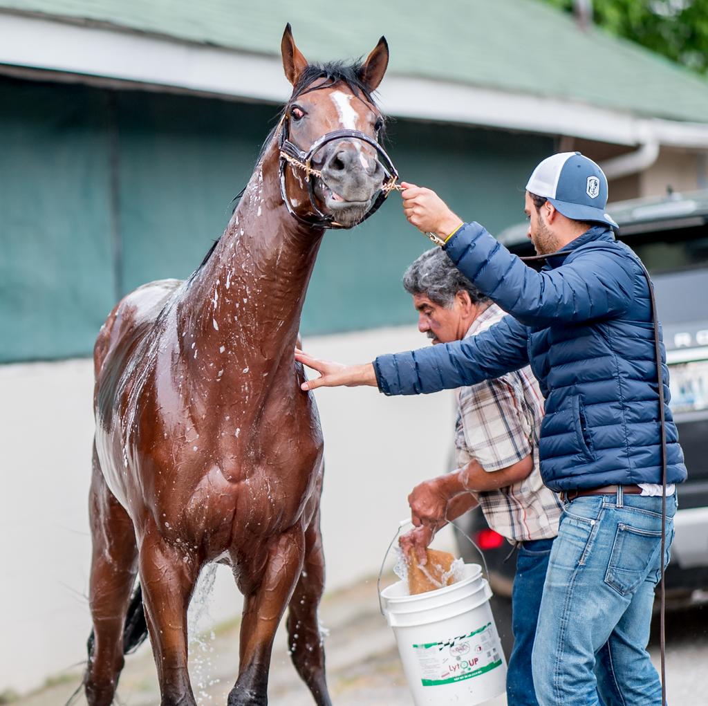 Eclipse Sportswire (@eclipsesports) on Twitter photo Ladies and gentlemen...with the scratch of #OmahaBeach meet #20 in this year's 145th running of the <a href="/KentuckyDerby/">Kentucky Derby</a> <a href="/ChurchillDowns/">Churchill Downs</a> - Bodexpress. How they get this horse not to take a left turn out of the gate when the crowd roads remains to be seen. #KentuckyDerby Ladies and gentlemen...with the scratch of #OmahaBeach meet #20 in this year's 145th running of the <a href="/KentuckyDerby/">Kentucky Derby</a> <a href="/ChurchillDowns/">Churchill Downs</a> - Bodexpress. How they get this horse not to take a left turn out of the gate when the crowd roads remains to be seen. #KentuckyDerby