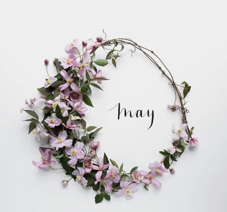 JasminMae19's tweet photo. 🐞 🌸  H E L L O   M A Y  🌸 🐞

Oh my! Where on earth did April go? 🙈 The months seems to fly by now! 🏃🏻‍♀️👋🏼 April was another amazing month but here's a chance for another fresh start &amp; another chance to grab new opportunities heading our way! ✨❤️ https://t.co/hVDOehvRV4