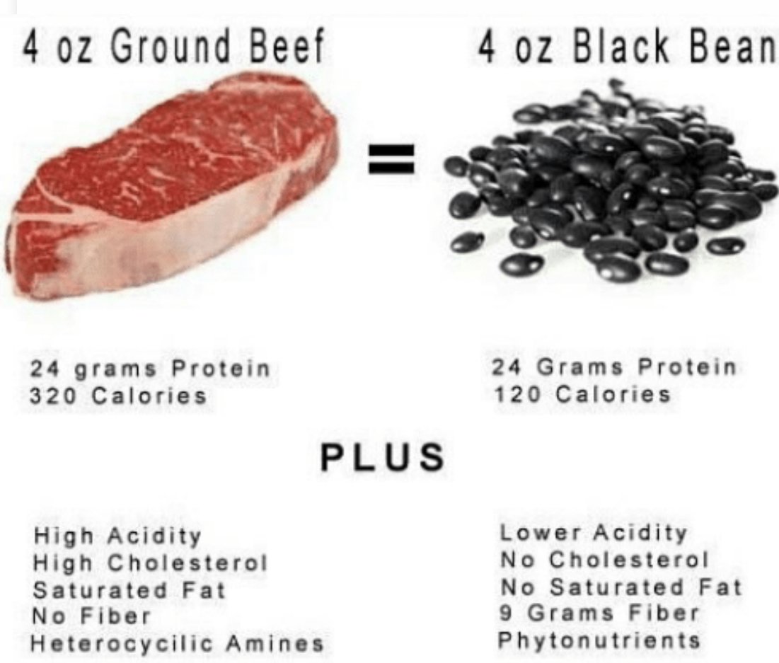 Focus on Protein#2
It’s all about the protein “package”
When we eat foods for protein, we also eat everything that comes alongside it: the different fats, fiber, sodium, and more. Choose wisely #lessredmeat #proteinpower #barretohealthcare