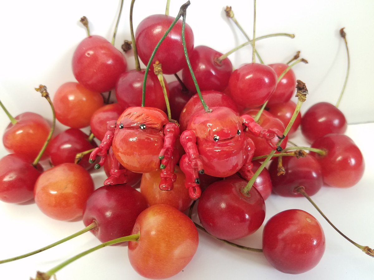 百瀬一孝 tweet media