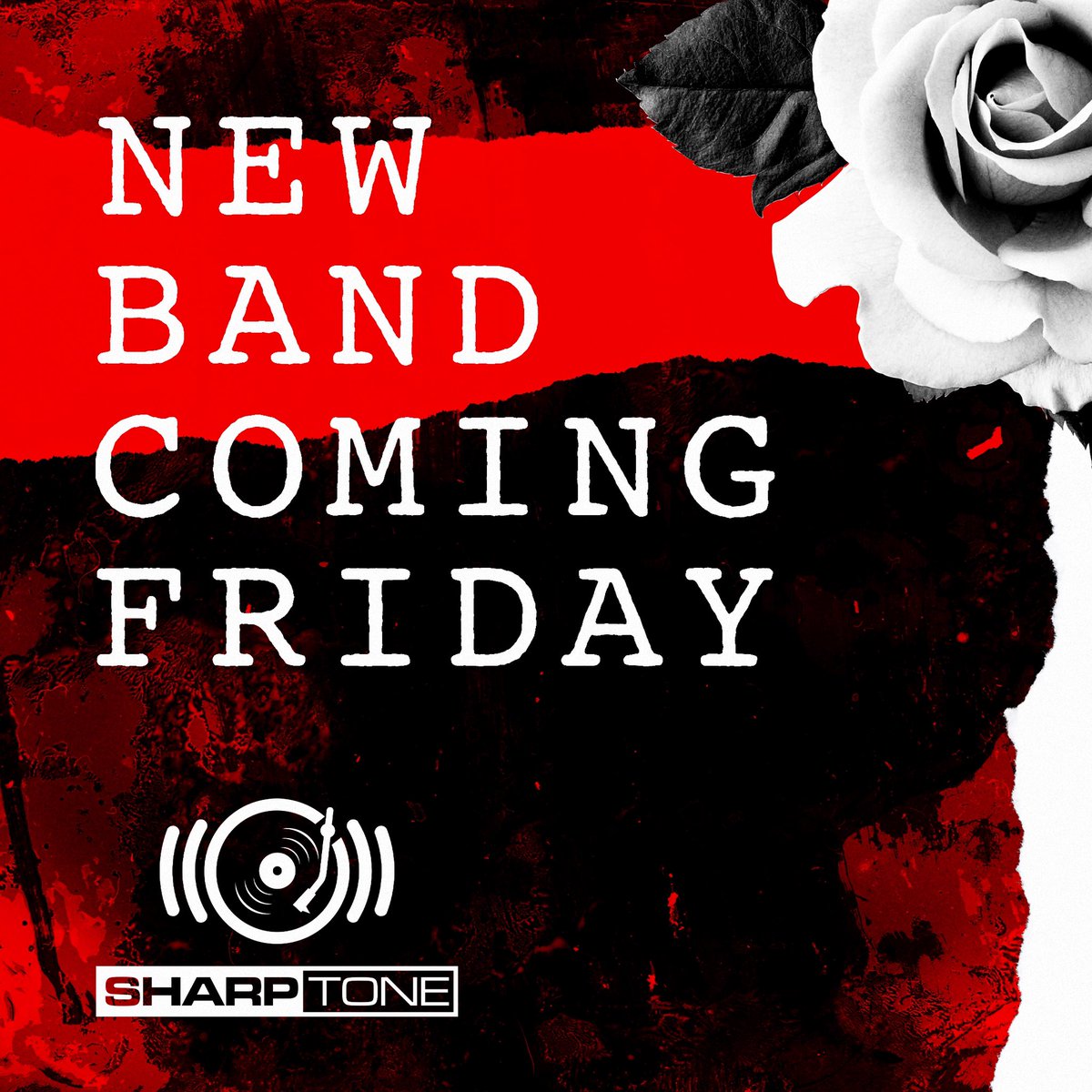 sharptonerecs's tweet image. Friday 🌹#sharptonerecords