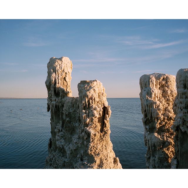 New Salton Sea series pics up on website as of 4.25!

2014, Salton Sea, California

#rentalmag #paperjournalmag #foammagazine #gupmagazine #ifyouleave #myfeatureshoot #phroom #oftheafternoon #ignantpicoftheday #noicemag #fisheyelemag #somewheremagazine #… bit.ly/2Wk7gc6