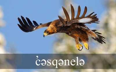 cusqunela's tweet photo. Reminder about our upcoming events: PAC meeting (May 2), Welcome to K (May 8), Power Hours (May 28, 29, 30). Learn more: https://t.co/bVu72bnA26 #cusqunela #SD42 https://t.co/D2sMIItKXx