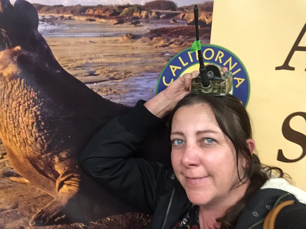 fourgreytowers's tweet photo. Great presentation at  #interptech2019 on incorporating data into your k-12 interpretation at Ano Nuevo state park. https://t.co/HoN0fJsLG8