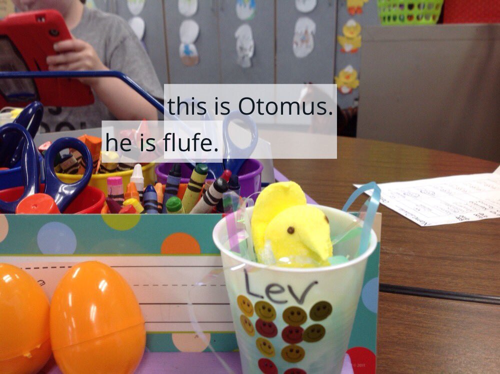 WilliamsonBhmsd's tweet photo. Writing about our peeps that just hatched. https://t.co/Jy5azI1ln2