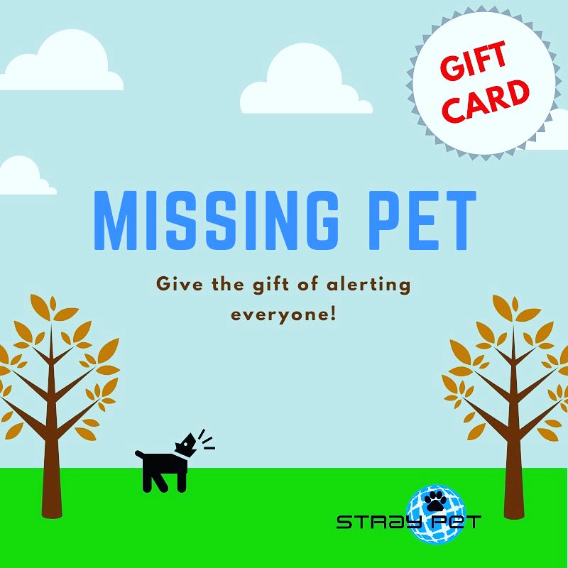 StraypetM's tweet image. Great idea for the pet parent in your life! Make sure they are ready if there pet ever goes missing! #giftcard #lostpet #MissingDog

straypet.net/lost-pets-gift…