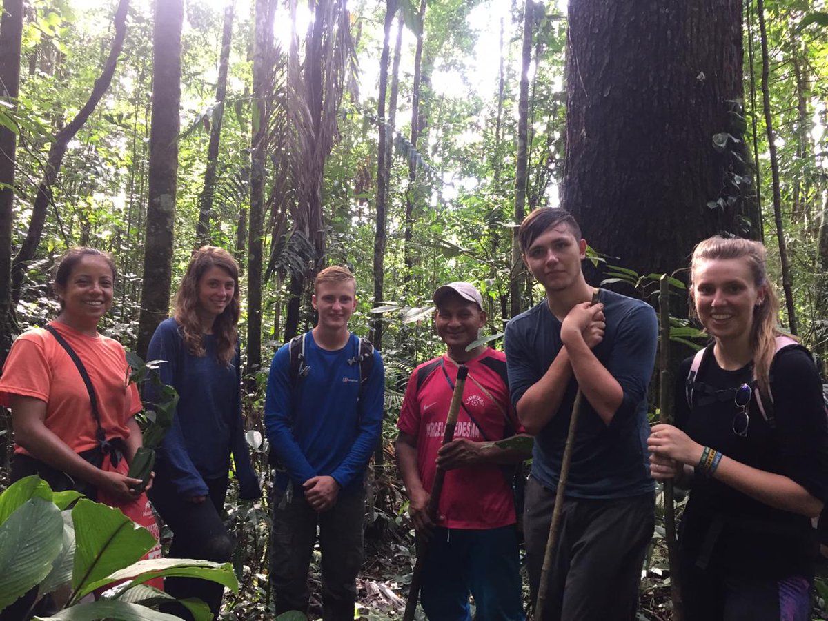 CampEcuador's tweet photo. #GapYearVolunteers doing their last #projectwork in the #Amazon, this time reforestation at #CampChilliUrku , 20 chunchos were planted. Gracias #DoSomenthingAmazing #CampsEffect @CampsInt https://t.co/cTmhv5szTH