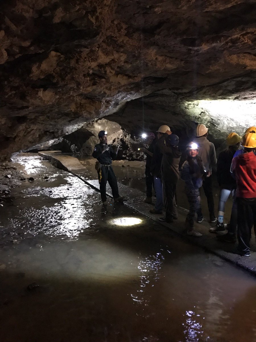 GRS_Science's tweet photo. An intro underground in the semi-lighted section.
#stalactites #sodastraws #flowstones #WOW 
#GRSpride https://t.co/J6ZRQKBrhA
