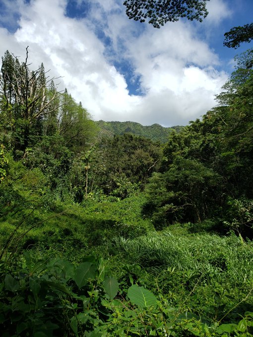 Went on a nature hike @bigp69696969 https://t.co/MIPpfkmBUo<a class="tags" target="_blank" title="On Twitter" href="/?out=eyJ0eXAiOiJKV1QiLCJhbGciOiJIUzUxMiJ9.eyJpYXQiOjE3MjA5NDUwMzYsImlzcyI6InR3cG9ybnN0YXJzLmNvbSIsIm5iZiI6MTcyMDk0NTAzNiwiZXhwIjoxNzUyNDgxMDM2LCJyZWRpcmVjdF91cmwiOiJodHRwczovL3R3aXR0ZXIuY29tL2JpZ3A2OTY5Njk2OSJ9.TQPxvFM0gAFcUeP0kd1UUo0s9kC92WSiY0TQ068Oe6qsvr4PxlKG7hVVJAElHuGki6hq8xcGpAODGWYDMuZoeA">@bigp69696969</a>