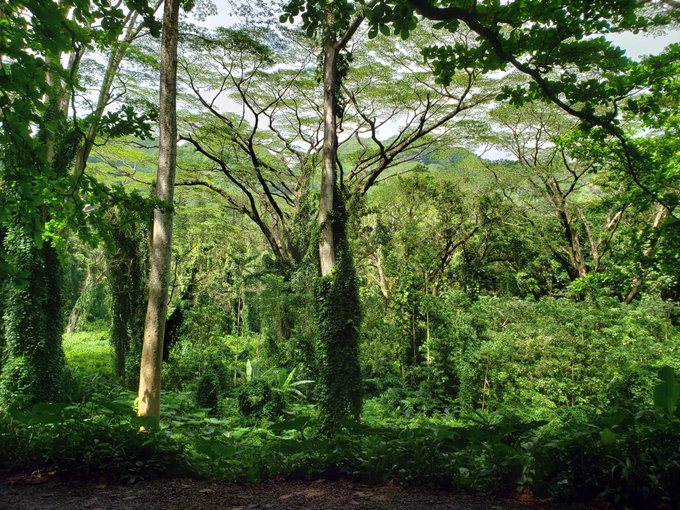 Went on a nature hike @bigp69696969 https://t.co/MIPpfkmBUo<a class="tags" target="_blank" title="On Twitter" href="/?out=eyJ0eXAiOiJKV1QiLCJhbGciOiJIUzUxMiJ9.eyJpYXQiOjE3MjA5NDUwMzYsImlzcyI6InR3cG9ybnN0YXJzLmNvbSIsIm5iZiI6MTcyMDk0NTAzNiwiZXhwIjoxNzUyNDgxMDM2LCJyZWRpcmVjdF91cmwiOiJodHRwczovL3R3aXR0ZXIuY29tL2JpZ3A2OTY5Njk2OSJ9.TQPxvFM0gAFcUeP0kd1UUo0s9kC92WSiY0TQ068Oe6qsvr4PxlKG7hVVJAElHuGki6hq8xcGpAODGWYDMuZoeA">@bigp69696969</a>