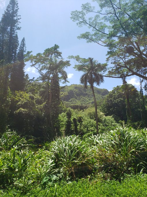 Was at the spot where jurrasic world was filmed https://t.co/Usx09i4tYf