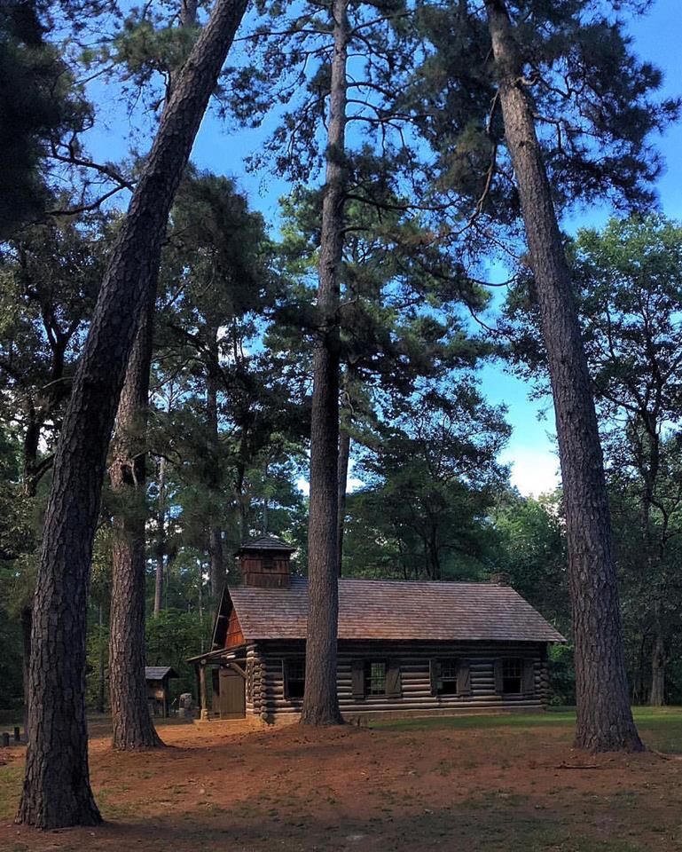 Texas Forest Trail tweet media