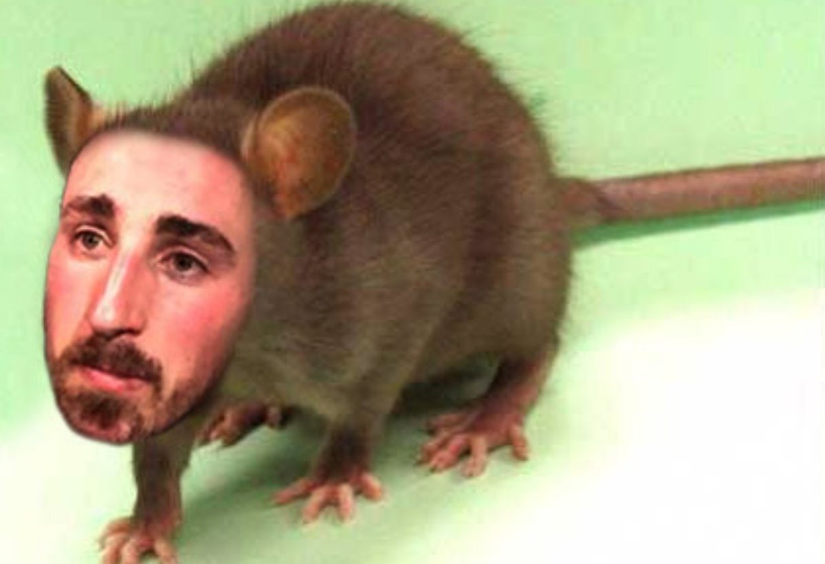 supdew's tweet photo. This is what happens whn a Weasel rapes Rat...they spawn a Brad Marchand https://t.co/jhObmLYQNA