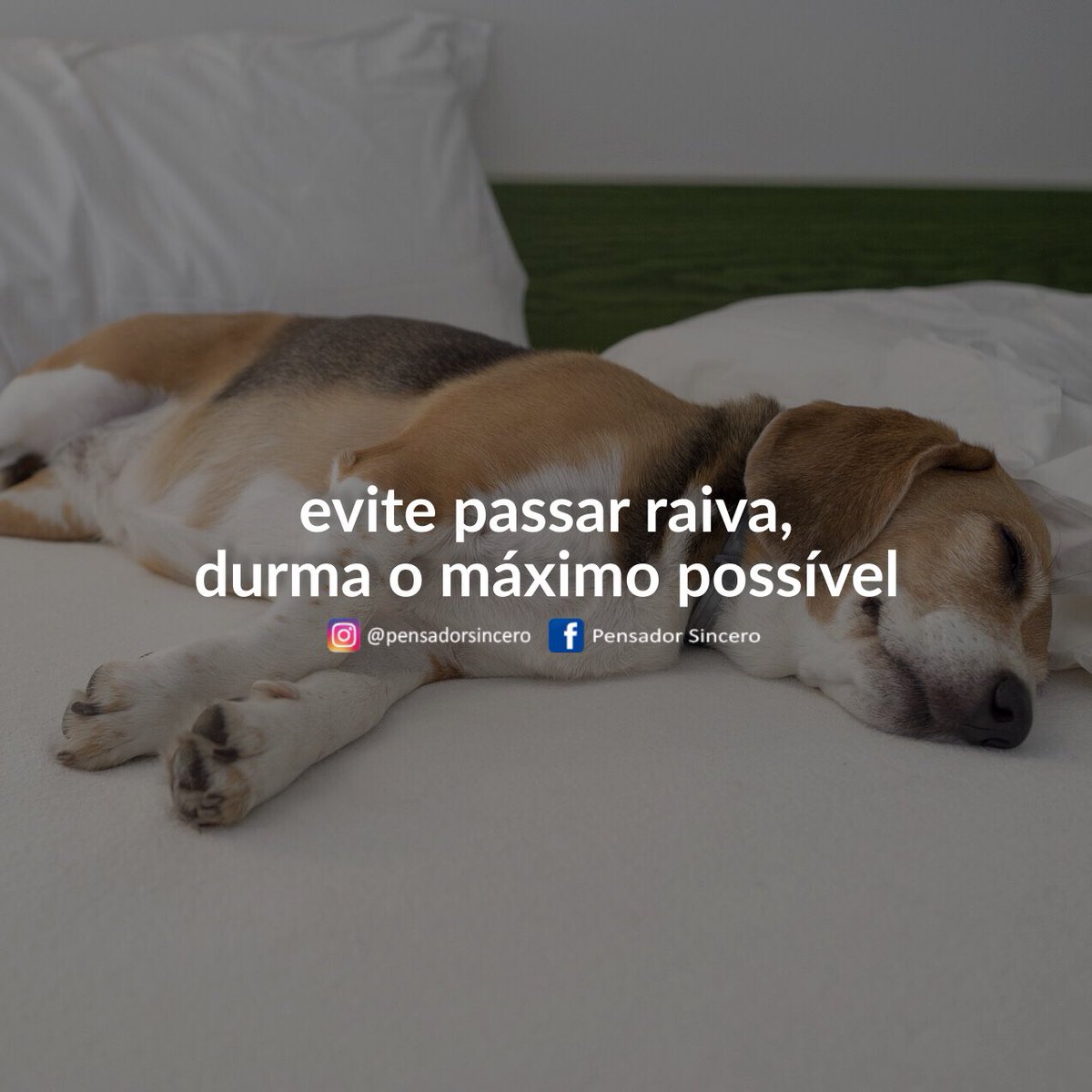 pensadortwitta's tweet photo. melhor coisa que cê faz https://t.co/rMudtzmqSX