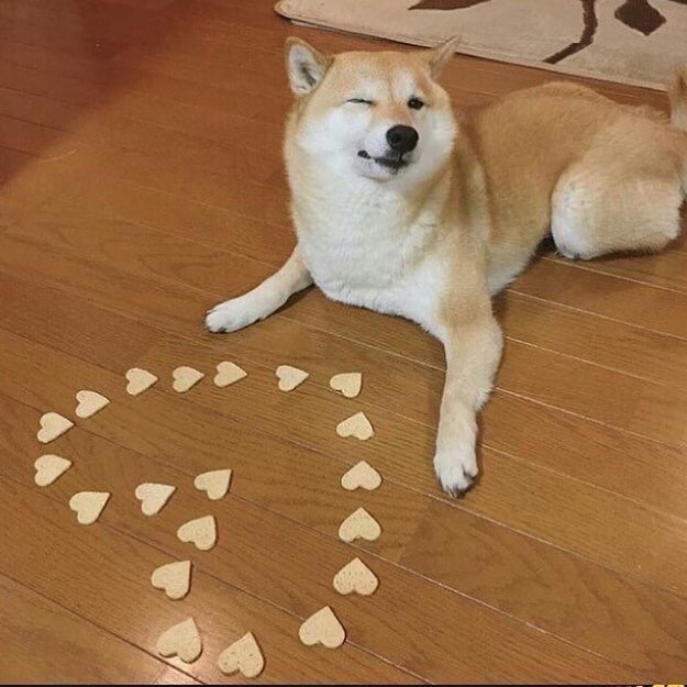 이거 라이관린 (@this_is_kuanlin) on Twitter photo 