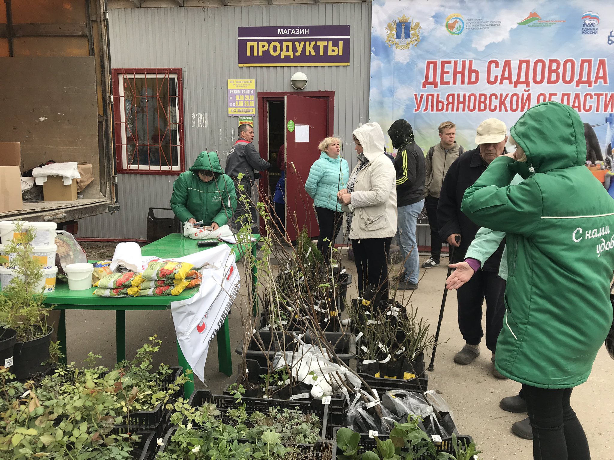 Рынок Садовод саженцы