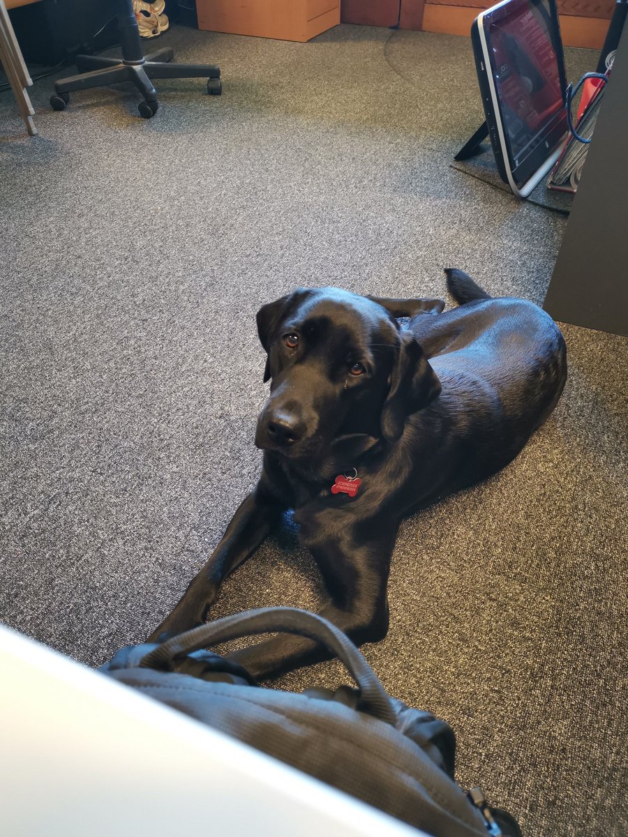 BLSComputerSolutions tweet media