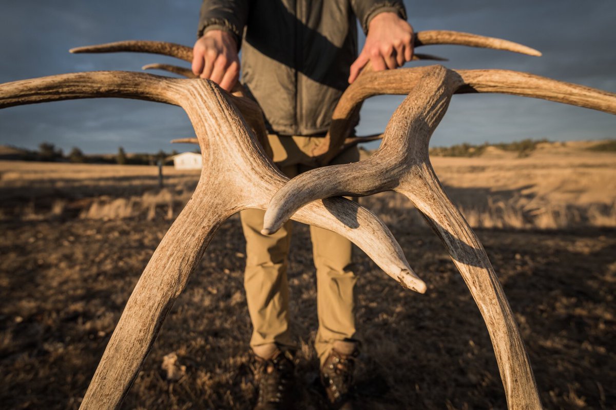 Spring’s finds // Fall’s targets Location | Montana Photo | Jordan Gill #mathews