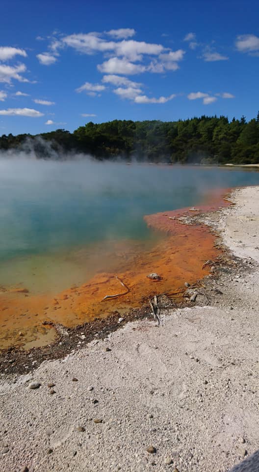 IDOTRAVELNZ's tweet photo. ロトルアといえば地熱地帯、色々見所はありますが、ワイオタプが一番カラフルだと思います。シャンパンプールはいつ行ってもインスタ映えしますね。
夏は暑いので帽子、サングラスを忘れずに。#WAIOTAPU #ROTORUA #地熱地帯 https://t.co/bMOmZDK2aD