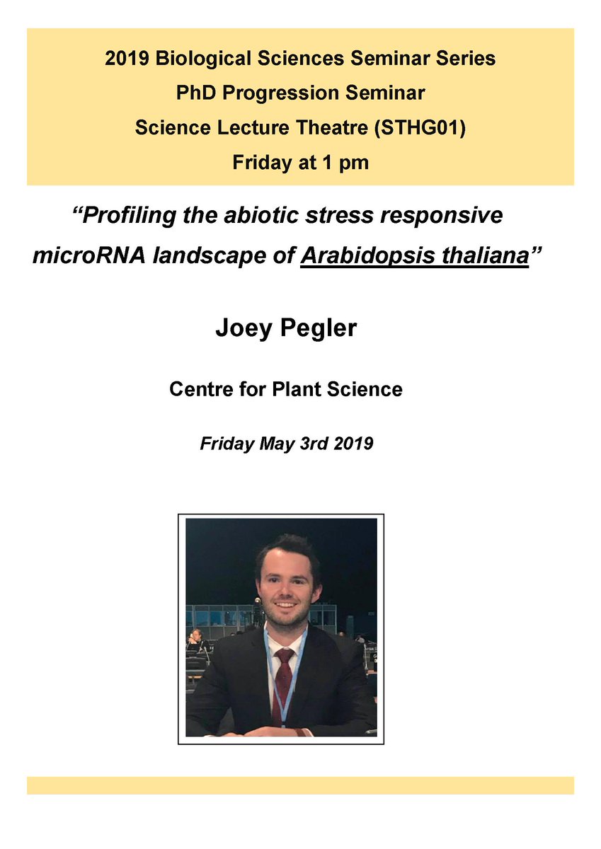 Okay, we wrong, there is a seminar tomorrow. Go listen to Joey, then come have sausages on bread. 👍