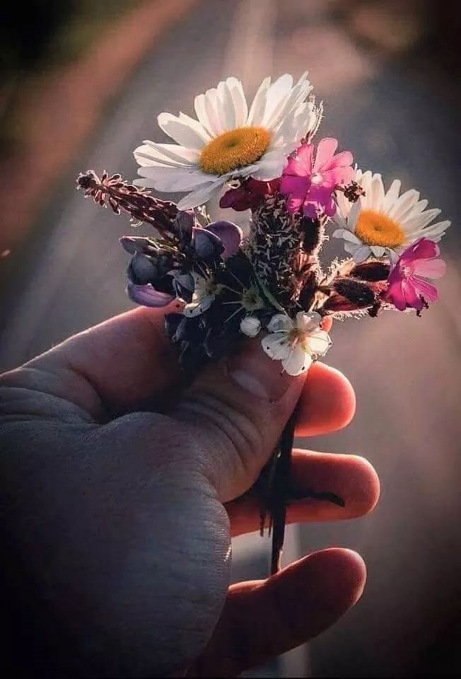 G Ü N A Y D I N
NİYET her şeydir, 
Gerisi BAHANE. 
Almaya Niyet Eden ALIR.
Görmeye Niyet Eden GÖRÜR. 
SEVMEYE Niyet Eden SEVER. 
Tüm Niyetlerinizin Gerçekleşmesi 
Ve Hayırlara Vesile Olması dileğiyle; 
Gününüz Güzel, 
Hayatınız Tatlı Olsun. ..
Küçüğüm. .

#Günaydın herkese!